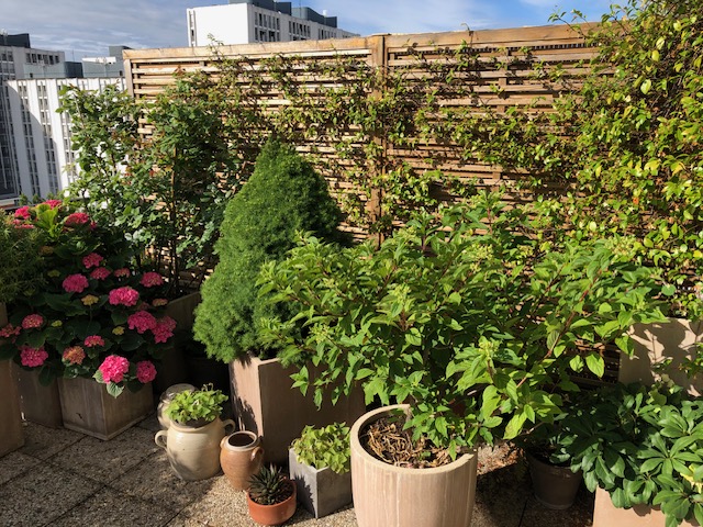 Claustra bois Isaura Twin Pine posé sur une terrasse par un client